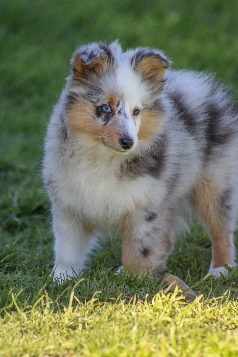 Alors c'est une évidence De La Vallée De Rivendell