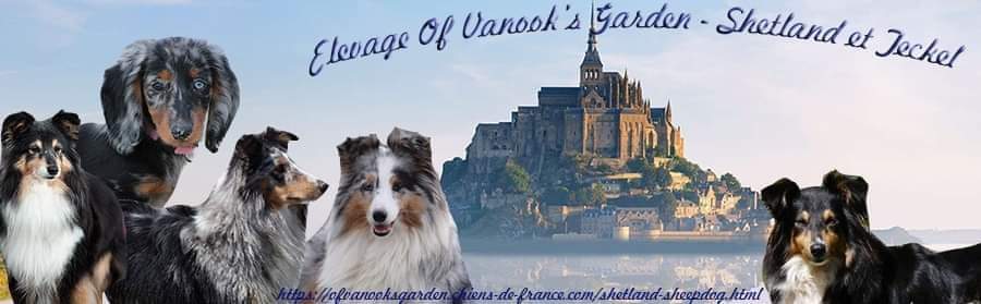 Of Vanook's Garden